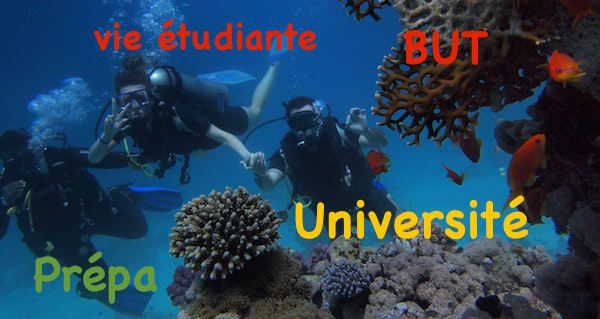Orientation : de plus en plus de journées d'immersion pour tester la vie d'étudiant