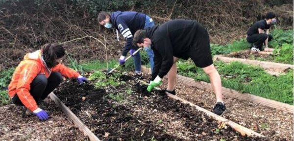 Un jardin partagé dans une résidence ARPEJ