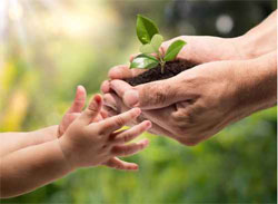 Respecter L Environnement Un Chemin Vers Dieu Respecter L Environnement Un Chemin Vers Dieu