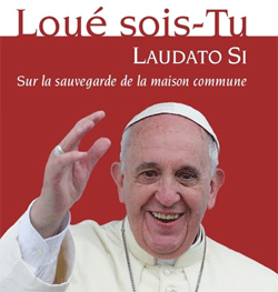 Laudato Si : l'appel du pape François à protéger la Terre, notre "maison commune"