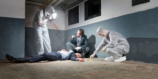 Offre d emploi technicien de police technique et scientifique