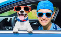 Examen du permis : conseils anti-stress Examen du permis : conseils anti-stress