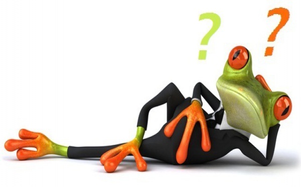 L Homme Un Animal Comme Les Autres