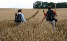 Un voyage de noces d'aventuriers  Un voyage de noces d'aventuriers