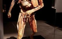 L'exposition 'Our body' à Paris : leçon d'anatomie sur de vrais corps 