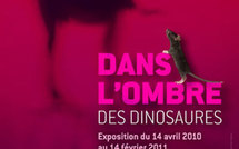 Dans l'ombre des dinosaures : grande expo au Museum national d'histoire naturelle