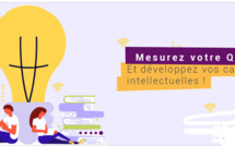 Testez votre intelligence rationnelle à travers votre QI