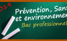 Bac Pro : les corrigés des sujets Prévention Santé et environnement (PSE) Bac Pro : les corrigés des sujets Prévention Santé et environnement (PSE)