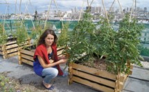 Ils plantent des potagers sur les toits de Paris Ils plantent des potagers sur les toits de Paris
