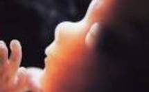 Les neuf mois avant la naissance Les neuf mois avant la naissance