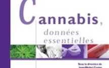 Cannabis : une étude complète sur la consommation Cannabis : une étude complète sur la consommation