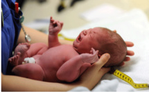 La naissance expliquée de A à Z La naissance expliquée de A à Z