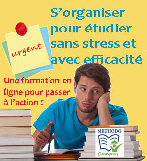 Reussir Sa Premiere Annee De Droit Conseils Aux Futurs Juristes