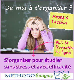 Reussir Sa Premiere Annee De Droit Conseils Aux Futurs Juristes